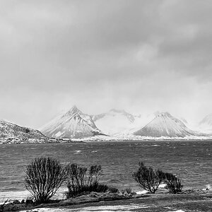 2023 Lofoten-58.jpg