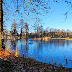 Fischteiche.jpg