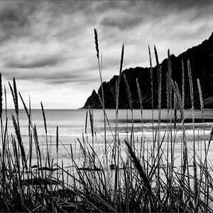 L1001108-Bearbeitet.JPG