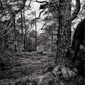 L1001019-Bearbeitet.JPG