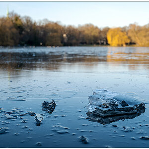 032 Wintertag im Schrevenpark I