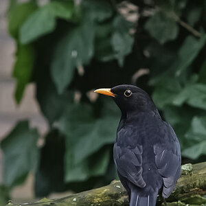 _3006583_Dxo_Hxl.jpg