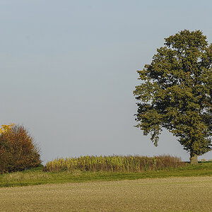 _7006404PAxl.jpg