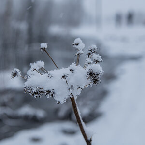 2023 Lofoten-97.jpg