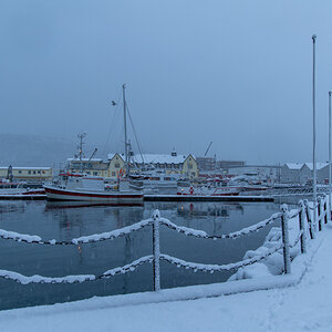 2023 Lofoten-125.jpg
