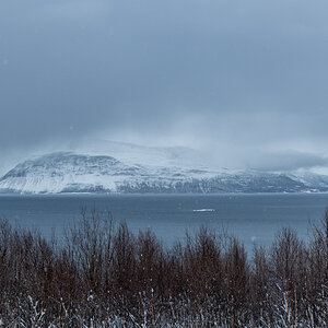 2023 Lofoten-145.jpg