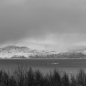 2023 Lofoten-146.jpg