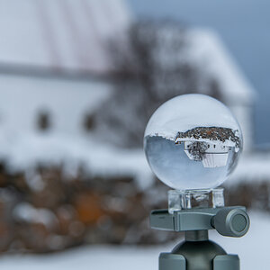 2023 Lofoten-151.jpg