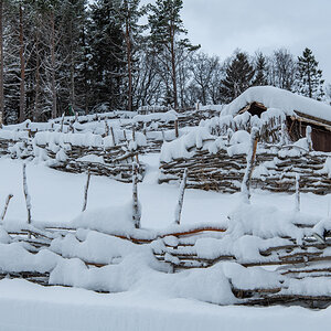 2023 Lofoten-156.jpg