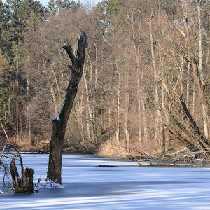 DSC_1156.JPG