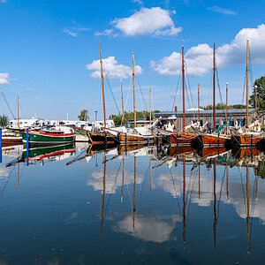 20200929-DSC_0887.jpg