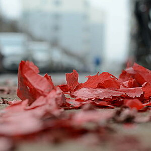 DSC_7470.JPG