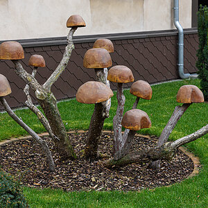 OF2_62048.jpg