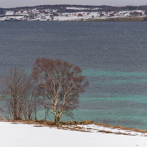 2023 Lofoten-193.jpg
