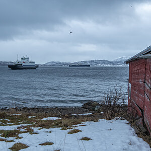 2023 Lofoten-200.jpg