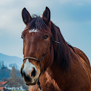 _F757464-NEF_DxO_DeepPRIME.jpg