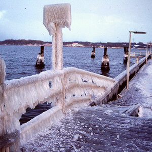 PICT0445.jpg