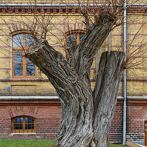 OF2_62073.jpg