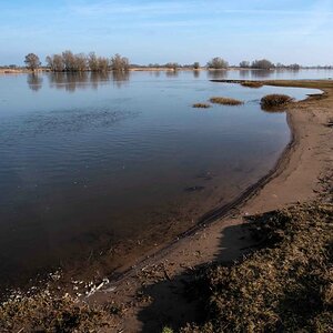Elbe 4.jpg