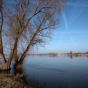 Elbe 5.jpg