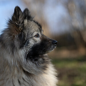 _DSC6082-Bearbeitet.jpg
