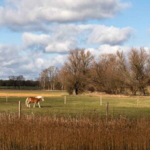 Wendlandidyll_bearbeitet-1.jpg
