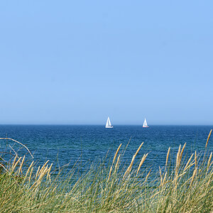 OF2_57803.jpg