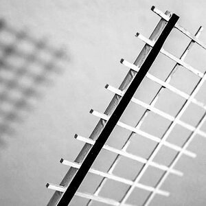 Der Flügel BW_bearbeitet-1.jpg