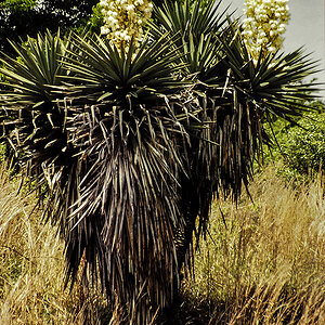 PA010003.jpg