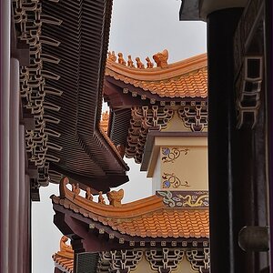 comp_2chinTe1.jpg