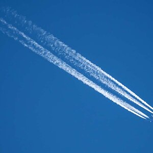 Höhenflieger.jpg