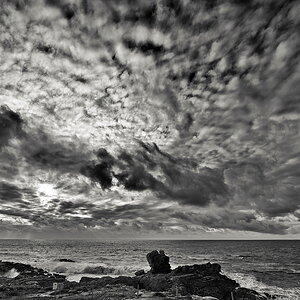 ZSD_0343_sw_nff.JPG