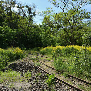 DSC_6781.JPG