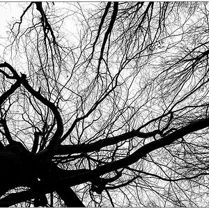 053 Friedwald I