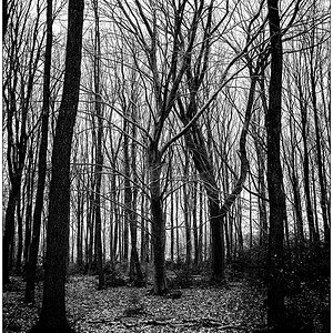 054 Friedwald II