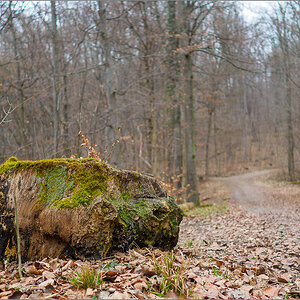 P3041958.jpg