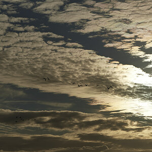 D50_0886.jpg