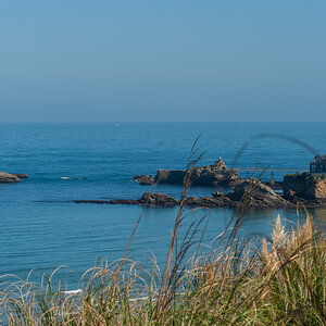 _DSC3660.jpg