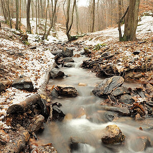 P3083624a_klein.jpg
