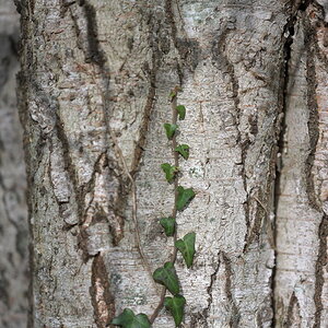 AZ7_0626.jpg