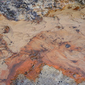 AZ7_0717.jpg
