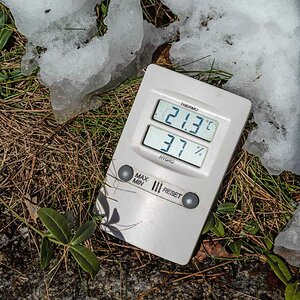 Thermometer.jpg