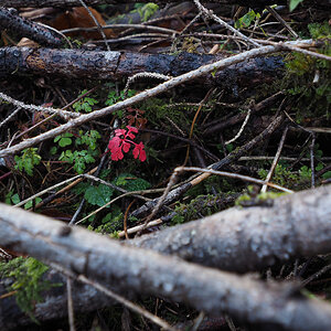 PB110085.jpg