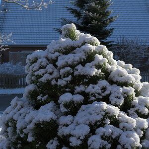 AZ7_0782.jpg