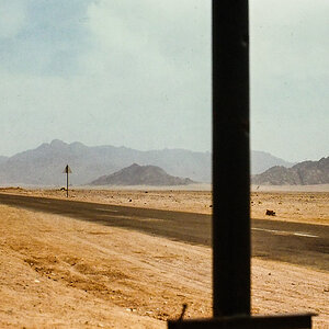 PA260698.jpg