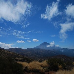 Foto000