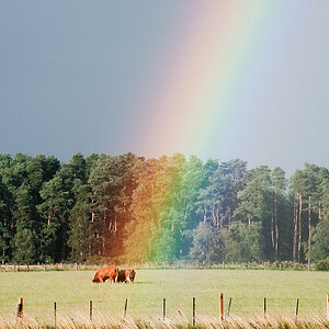 Das Ende des Regenbogens