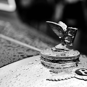 Wings & Wheels - FMO - 09/2009