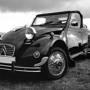 Wings & Wheels - FMO - 09/2009 Ente