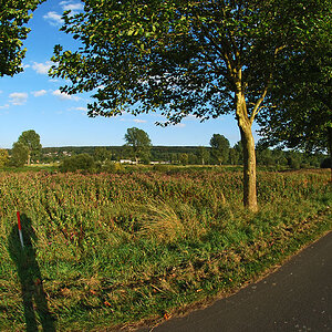 hx corvey fisheye